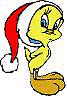 TITI NO L
