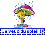 J VEUT DU SOLEIL